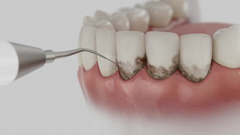 Reliable Dental contractor in Boston, GA by Dentist Open Now